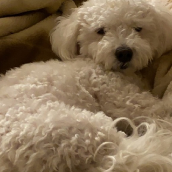 Meet your Posher - Picture 1 of 1